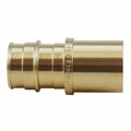 Articulos Para El Hogar 0.75 x 0.75 in. Brass PEX-A Sweat Adapter AR3977398